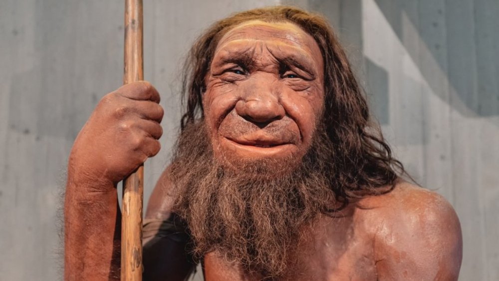 https://mail.mikro-makro.net/bilimsel-arastirma-neandertallerin-neden-soylarinin-tukendigine-yeni-bir-kanit-buldu