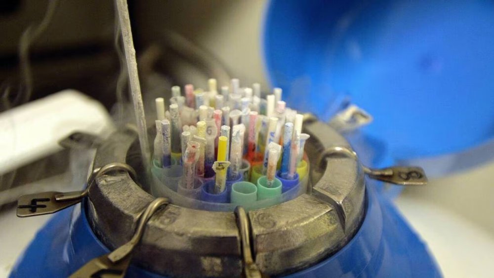 https://mail.mikro-makro.net/belcikada-cocuklarda-kanser-vakalari-avrupada-sperm-bagisina-iliskin-kurallar-sorgulaniyor