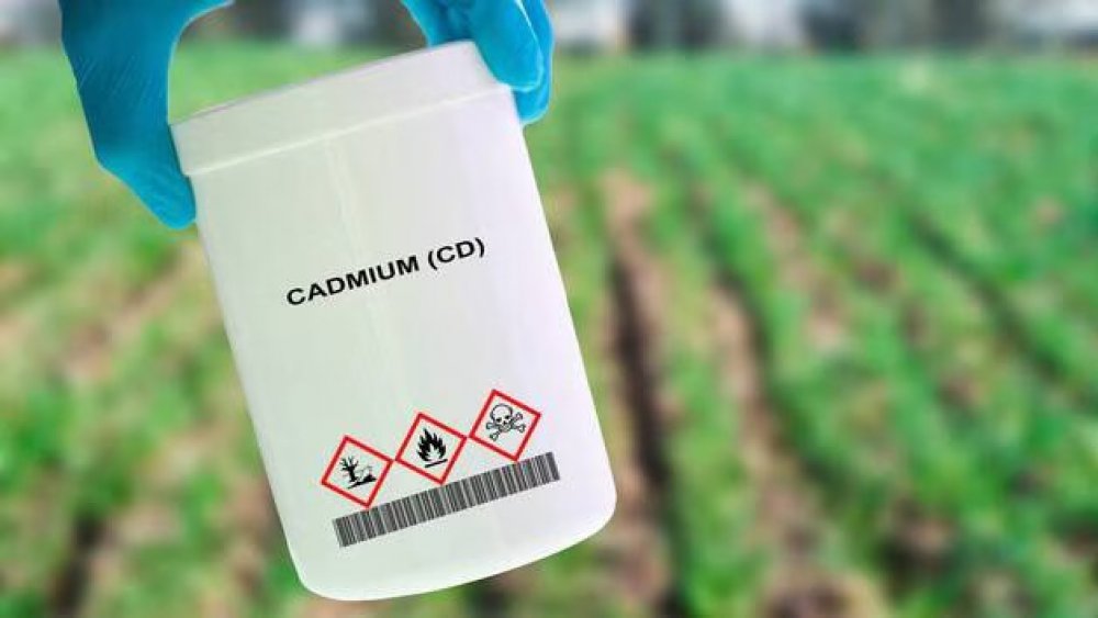 https://mail.mikro-makro.net/cocuklar-ozellikle-risk-altinda-gunluk-besinlerde-kadmiyum-uyarisi